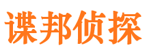 清新市调查公司